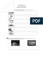 Invertebrados:vertebrados PDF