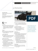 Feline Infectious Peritonitis: Profile