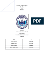 Country-Risk-Analysis-final.docx