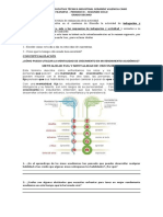 Decimo Segundo Ciclo Tercer Periodo