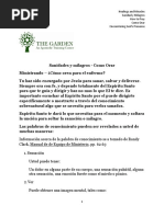 Palabras de Conocimiento PDF