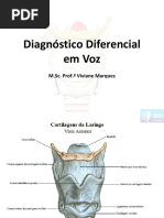 Avaliação Vocal com Escala GRBASI | PDF | Canto | Voz humana