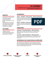 Ejemplo de Curriculum 2.pdf