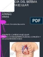 Semiología Cardíaca PDF