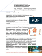 Taller de Ciencias Naturales #8 Generalidades Del Sistema Muscular PDF