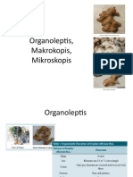 Organoleptis, Makroskopis, Mikroskopis Jahe