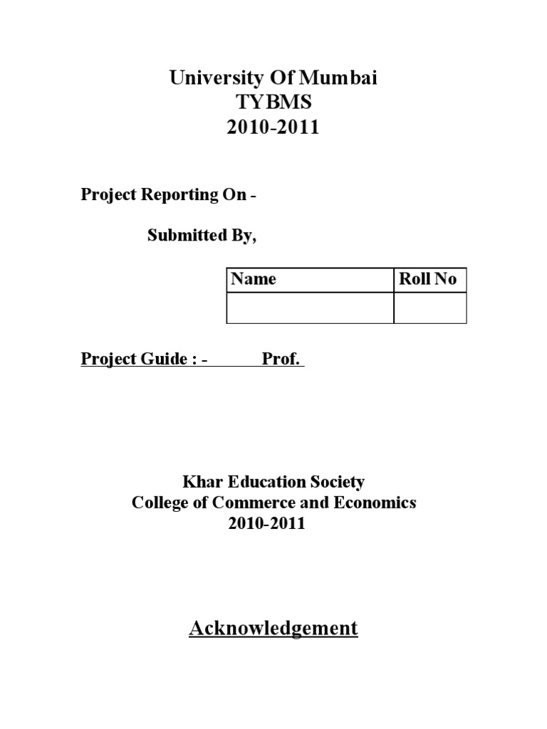 Project Reporting Format Guide | PDF