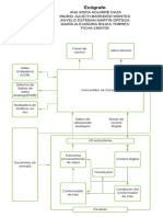D.bloques E.biomédicos PDF