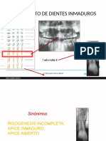 12av CLASE DIENTES PERMANETES JOVENES PDF