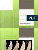 APEXOGÉNESIS APEXIFICACIÓN. Martha Isabel Paniagua C Odontóloga-Endodoncista Estudiante Maestría Ciencias Odontológicas CES