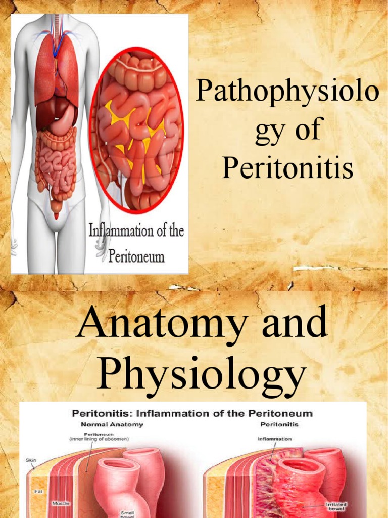 Pathophysiolo Gy of Peritonitis | PDF