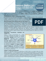 Gamma Delta (GD) T Cells (Células T Gamma Delta)