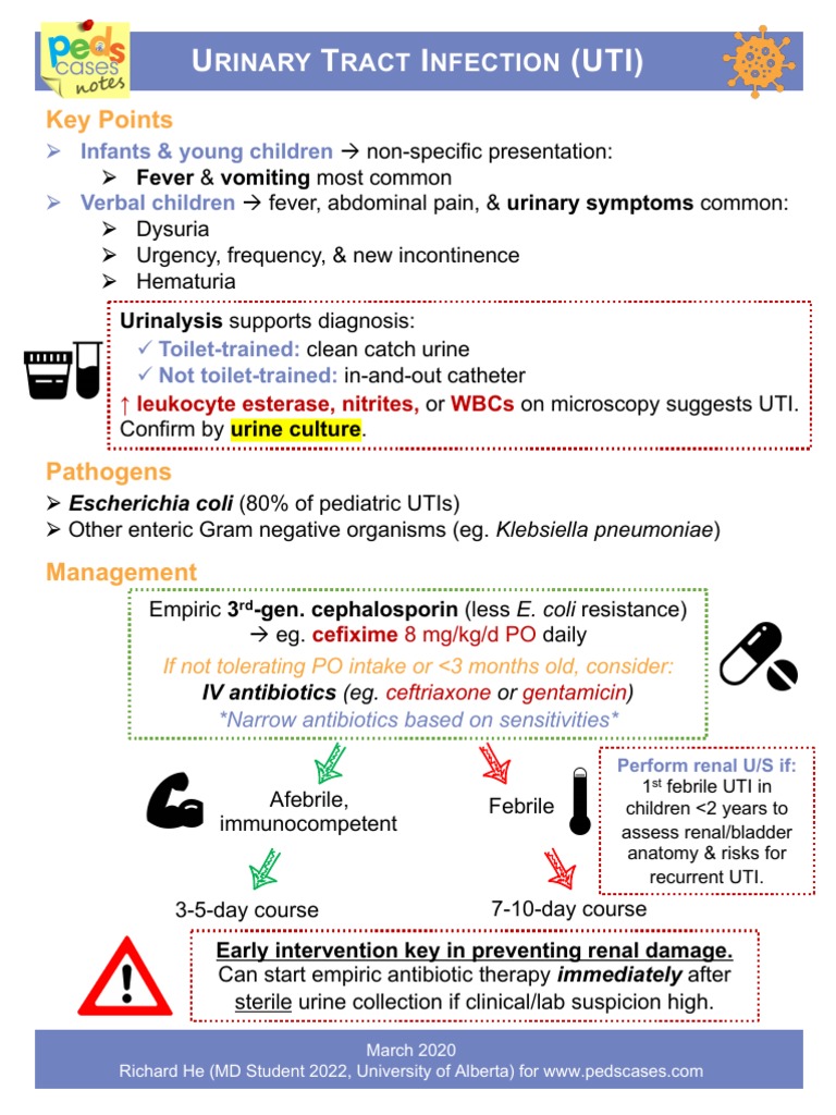 UTI PedsCases Notes PDF PDF