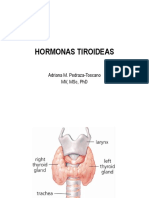 Hormonas Tiroideas