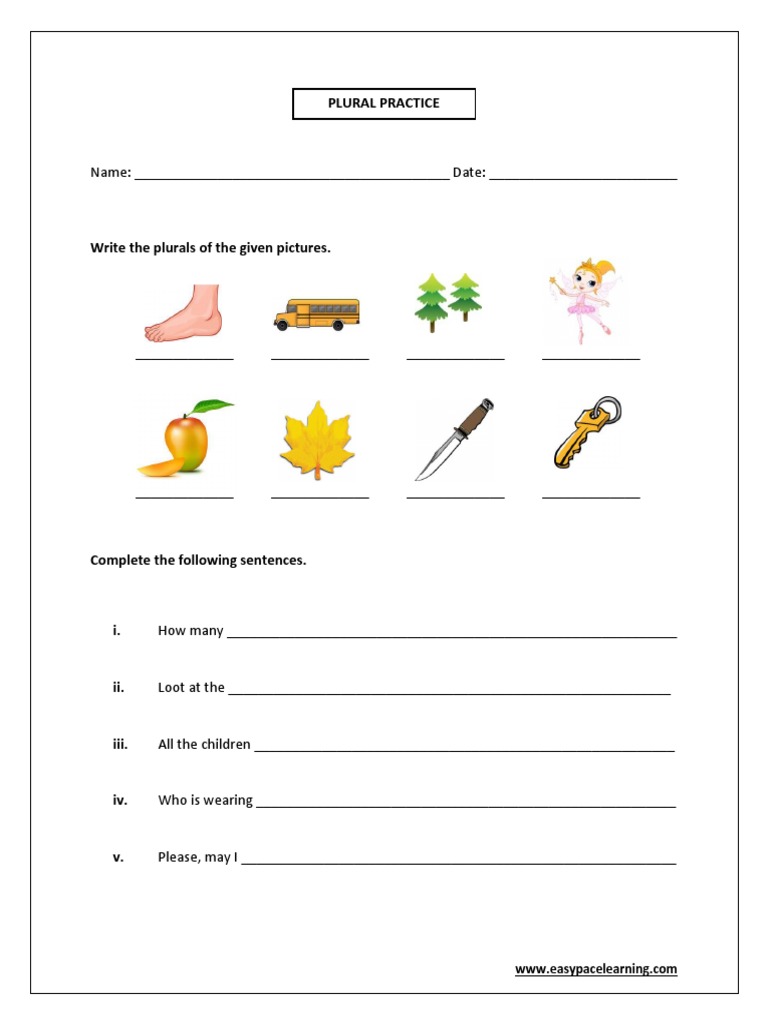 Plural Practice A Document Testing Plural Forms of Nouns Through