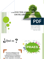 Proyectos Ambientales Escolares (Praes)