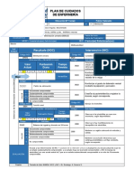 Pae Insuficiencia Renal Aguda - Laura Cardenas