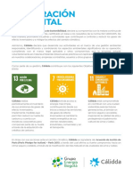 Declaración Ambiental 2020