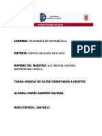 Modelo de Datos Orientado A Objetos PDF