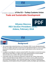 Presentation TSD - EU-Turkey - Dilyana Slavova