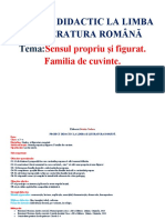 0 Proiect - Sens Propriu Si Figurat. Familia de Cuv