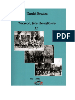 DANIEL BRADEA, Tecuci, File de Istorie, Vol. 2