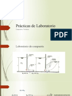 Prácticas de Laboratorio.ppsx