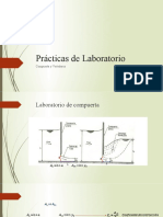 Prácticas de Laboratorio - PPSX