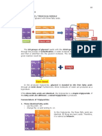 Classification of Lipids 2 PDF