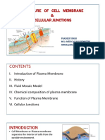 Structure of Cell Membrane & Cellular Junctions: Pradeep Singh M.Sc. Medical Biochemistry Himsr, Jamia Hamdard