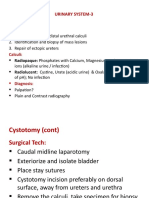 Urinary System-3: 8. Cystotomy