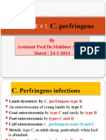 C. Perfringens infections