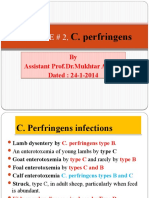 C. Perfringens Infections