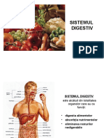 Biologie - Clasa 11 - Sistemul digestiv 1