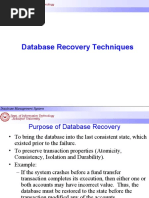 Database Recovery Techniques