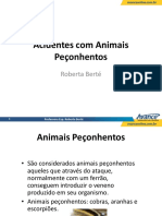 Acidentes com Animais Peçonhentos-1