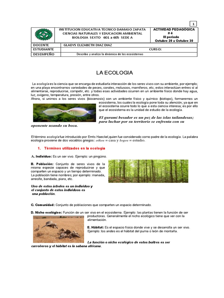 Ecologia Taller #4 | PDF | Ecología de sistemas | Entorno natural