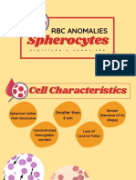 Spherocytes: RBC Anomalies