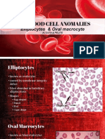 Red Blood Cell Anomalies: Elliptocytes & Oval Macrocyte