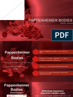 PAPPENHEIMER-BODIES.pptx