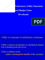 Consumer Preferences, Utility Functions and Budget Lines Overheads