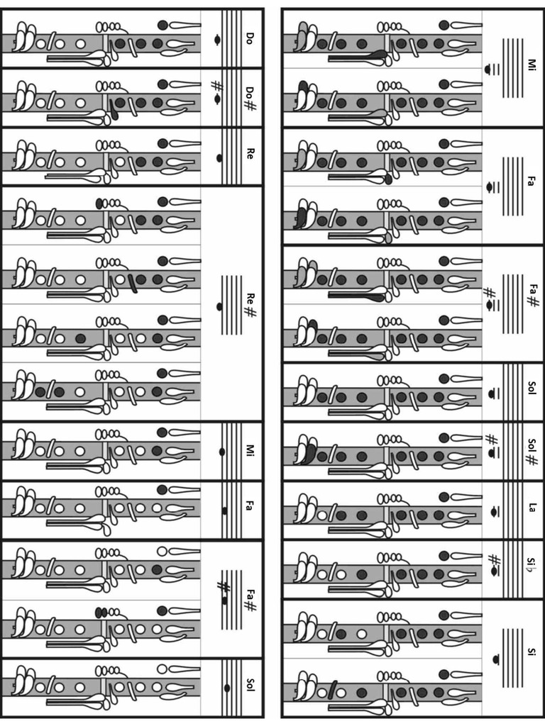 Posiciones Notas Del