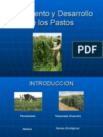 T8. Crecimiento y Desarrollo de Los Pastos