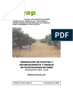 Produccion de Plantas Y Establecimiento Y Manejo de Plantaciones de Neem