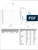 Raportoverbudget PDF