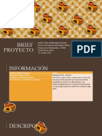 Brief Proyecto