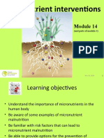 Micro-Nutrient Interventions: (And Parts of Module 4)