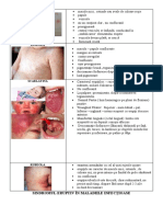 Sindromul Eruptiv in Maladiile Infectioase