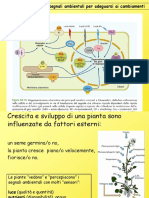 fitocromo, fotomorfogenesi e orientamento delle piante nello spazio .pdf