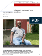 The Caribbean islands carcinogenic pesticide - BBC News.pdf